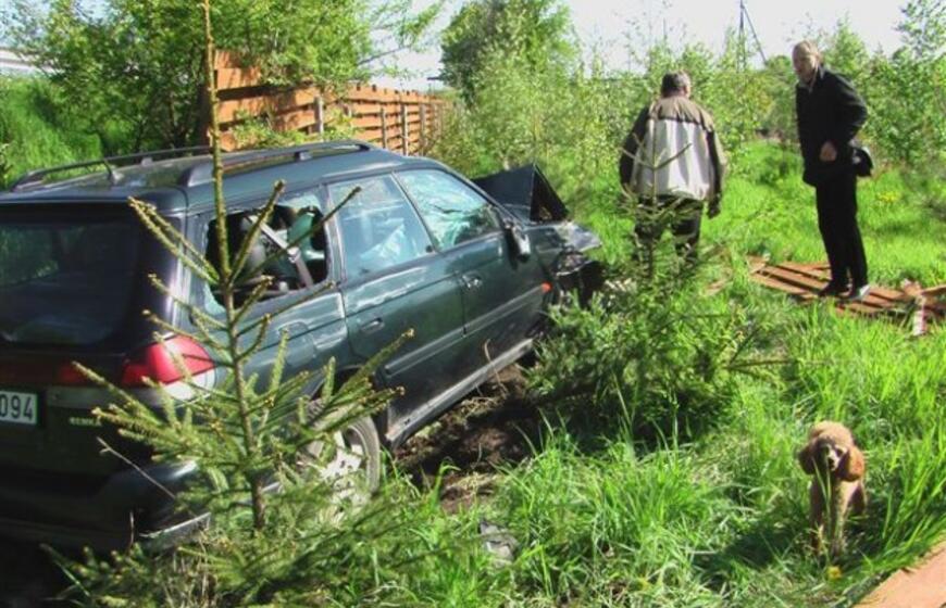 Avariją sukėlė agresyvus pudelis