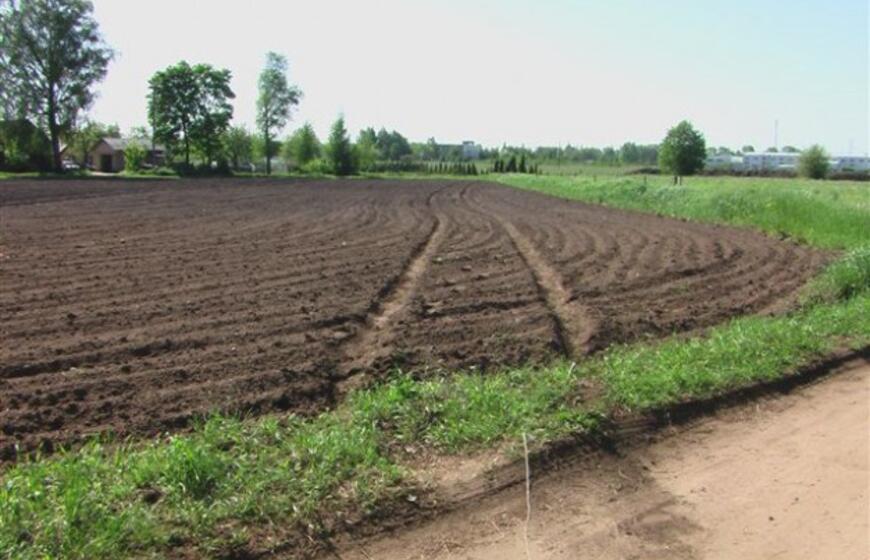 Miręs vairuotojas važiavo dar pusę kilometro