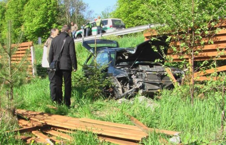 Avariją sukėlė agresyvus pudelis