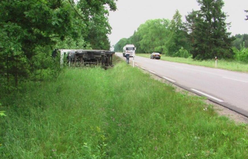 Briedis "nuvertė" vilkiką į griovį