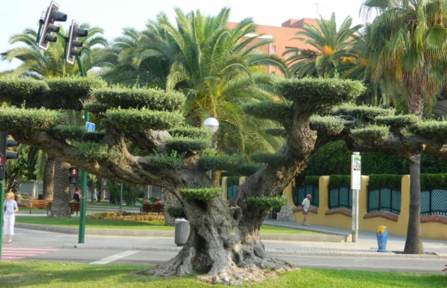 Atvėsusią Baltiją rudenį iškeičia į ispaniškas aistras