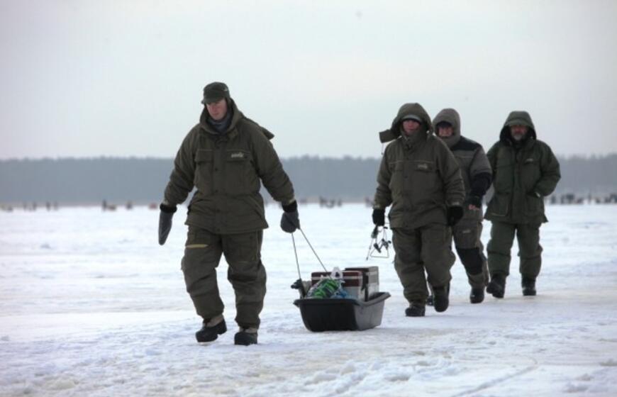 Stintų žvejyba ant Kuršių narių ledo
