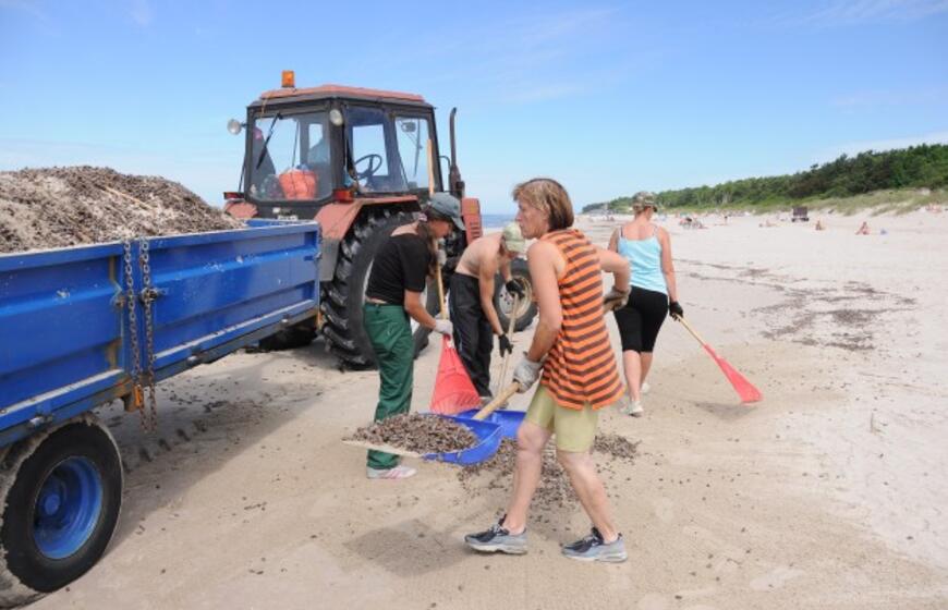 Iš paplūdimių šalinami karkvabaliai