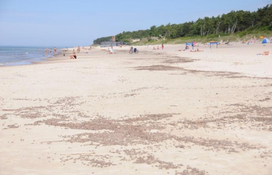 Iš paplūdimių šalinami karkvabaliai