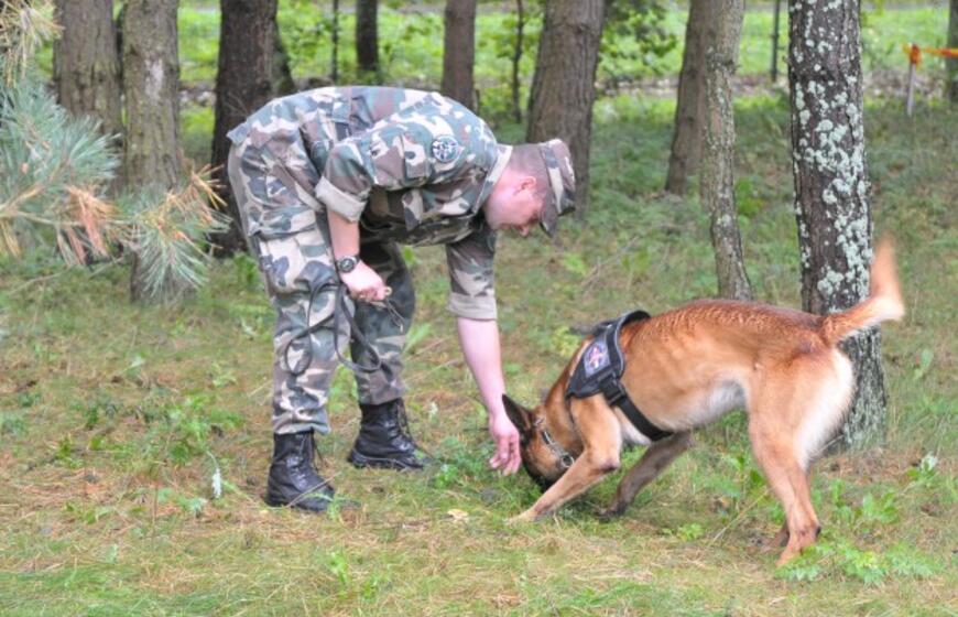 Kinologų bei tarnybinių šūnų čempionatas