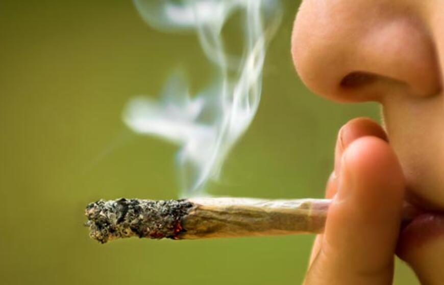 Klaipėdos mokyklose - marihuanos pėdsakai