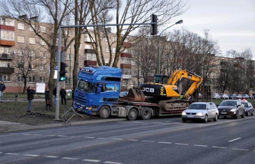 Vilkikas sumaitojo atitvarus