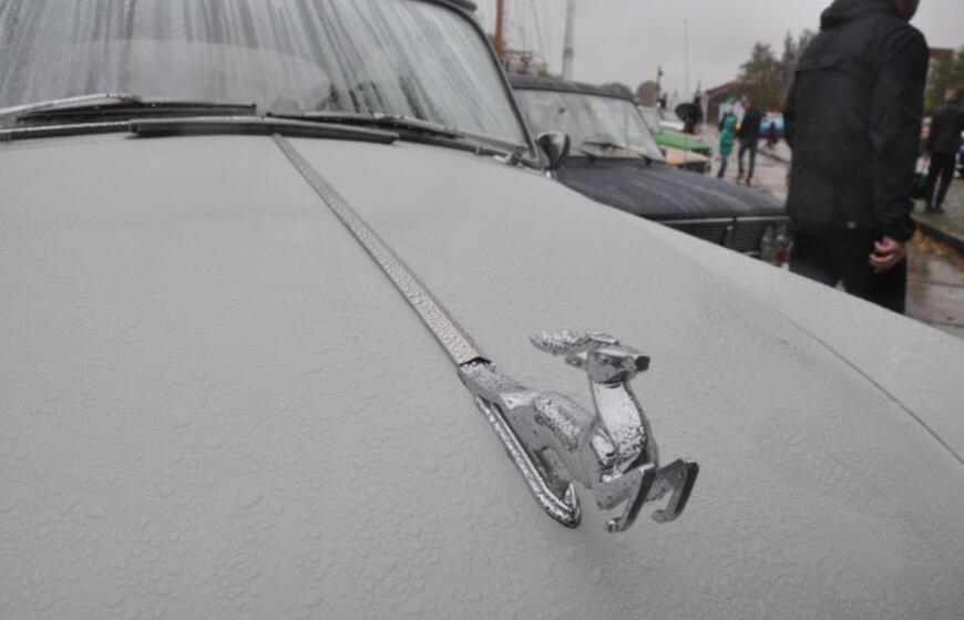 Senovinių automobilių paroda