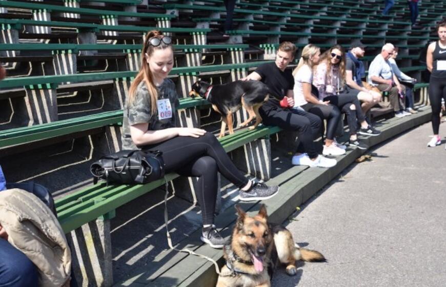 Bėgimas su šunimis