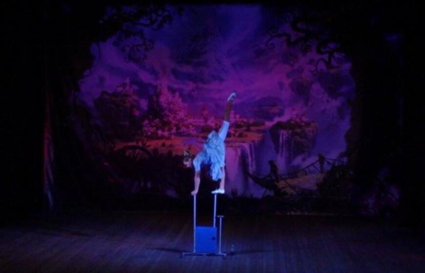 Alisa stebuklų šalyje