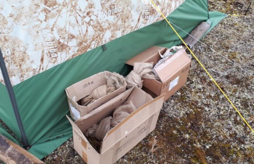 KU arkties ekspedicija