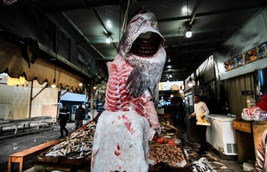 Į Hurgadą nuvykęs vaikinas pamatė kitą jos pusę