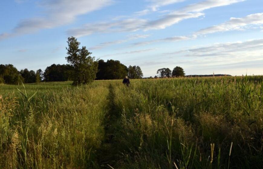 Atrask savo kraštą: Tulkiaragės pievų pasaulis