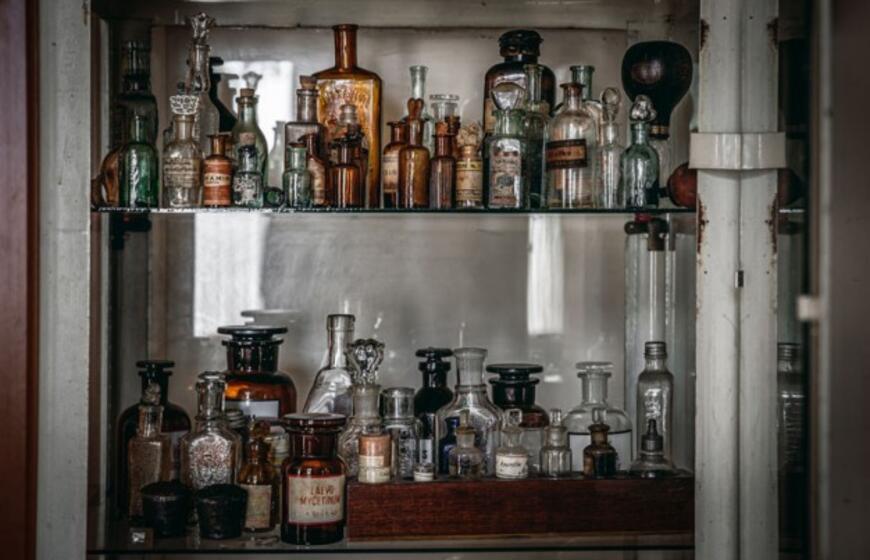 Pakruojo dvare - išskirtinis panoptikumas