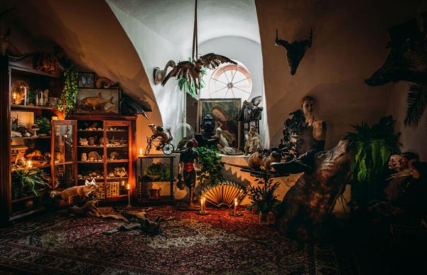 Pakruojo dvare - išskirtinis panoptikumas