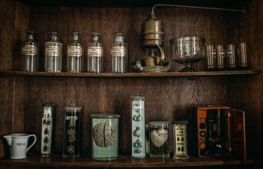 Pakruojo dvare - išskirtinis panoptikumas