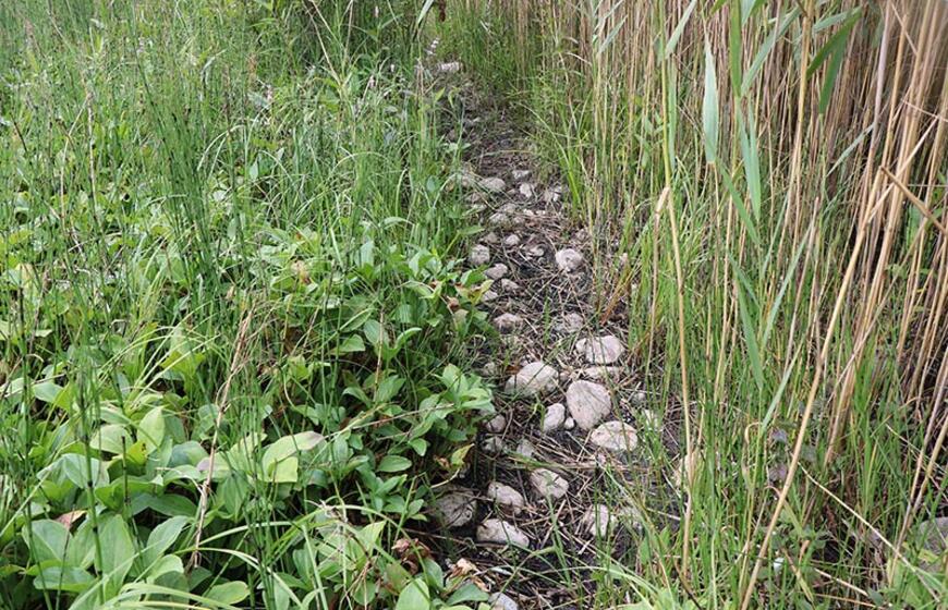 Kartais, per karščius nusekus vandeniui, tarsi praeities vaiduoklis pasirodo kadaise žmonių suręstas Kašučių kūlgrindos grindinys.