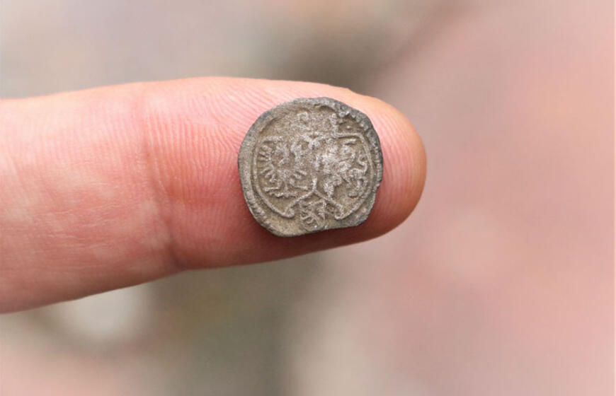 Zigmanto Vazos moneta (ternaras)