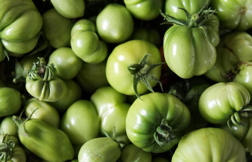 pomidorai
