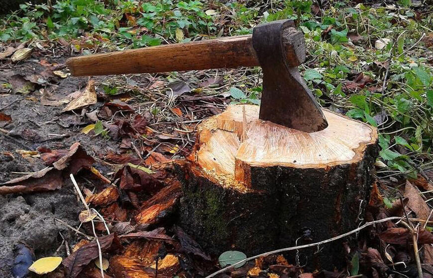 Kelmo galima atsikratyti per 1 dieną be rovimo: apie šį super būdą žino tik vienetai