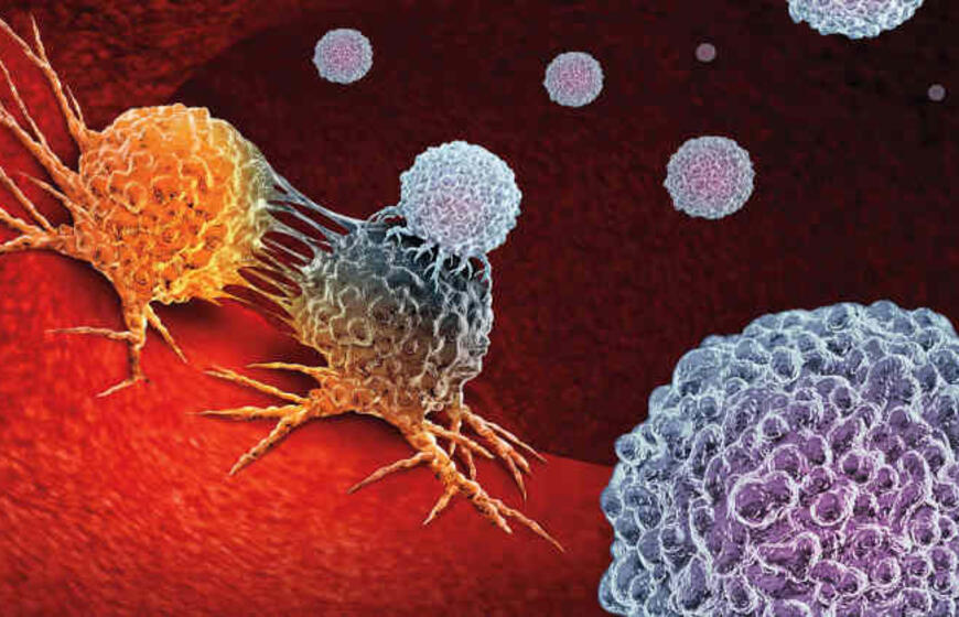 Imunoterapija prieš vėžį