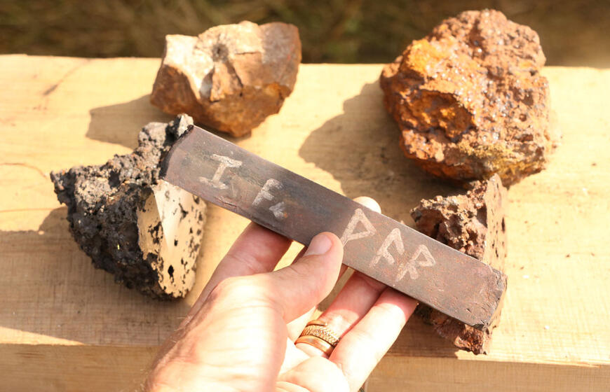 Geležies gimimas molinėse įsčiose