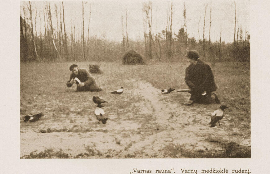 Varnų gaudymo mitai ir faktai