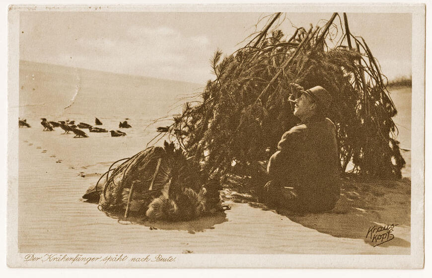 Varnų gaudymo mitai ir faktai