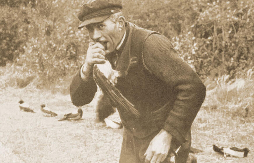 Varnų gaudymo mitai ir faktai