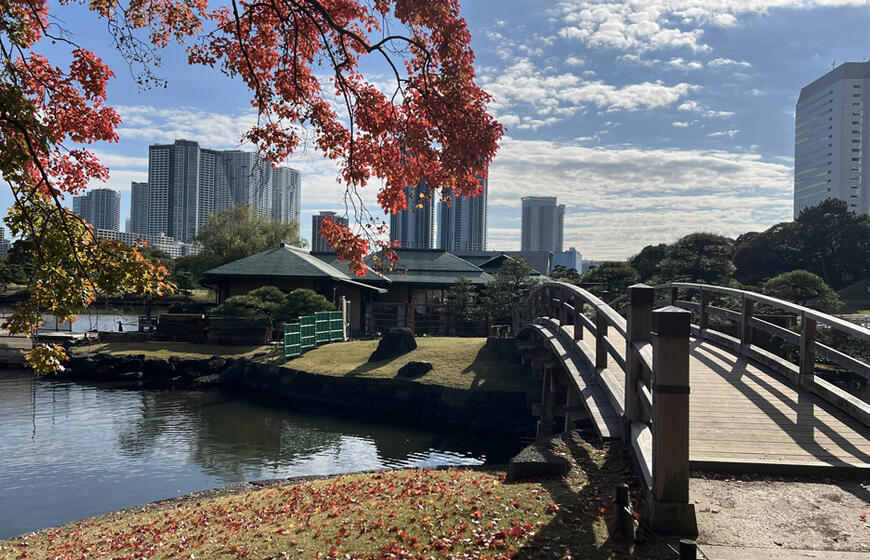 iš Japonijos grįžęs Saulius Mickus