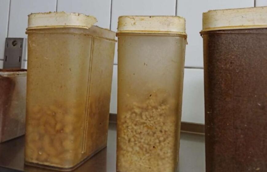 Kavinės Vilniuje uždarymas dėl higienos pažeidimų