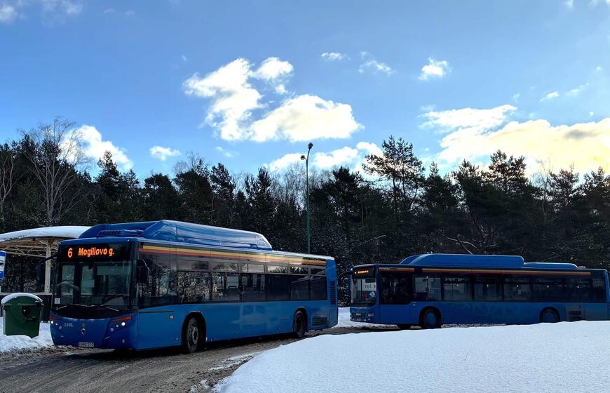 Keleivinis miesto transportas