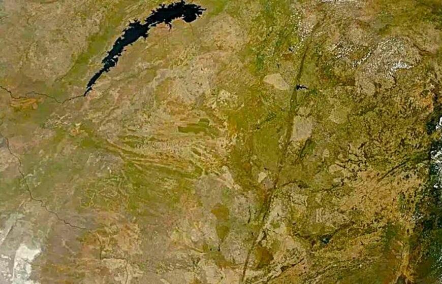 Didžiojo Daikio vertė yra ne tik mokslinė, bet ir ekonominė