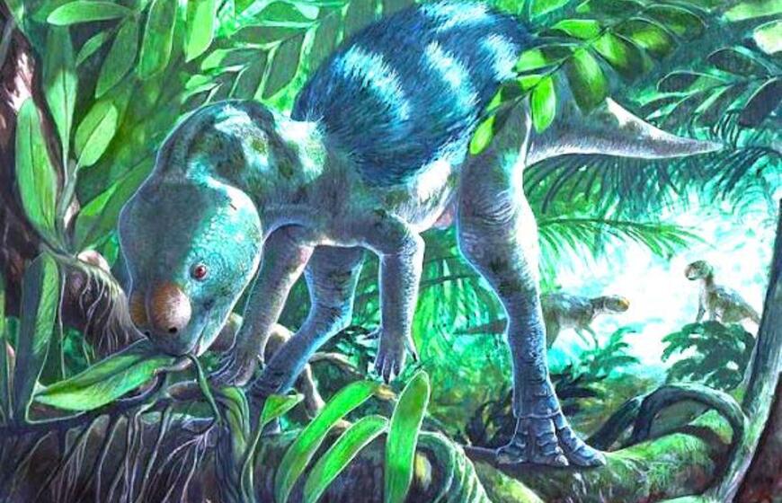 Ispanijoje rasti dinozaurai, kurie siektų vos žmogaus kelį