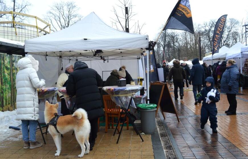 Palangos stinta 2026