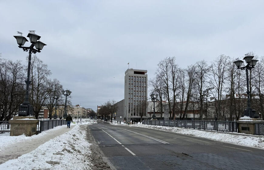 Vėliavos, vasario 16-oji