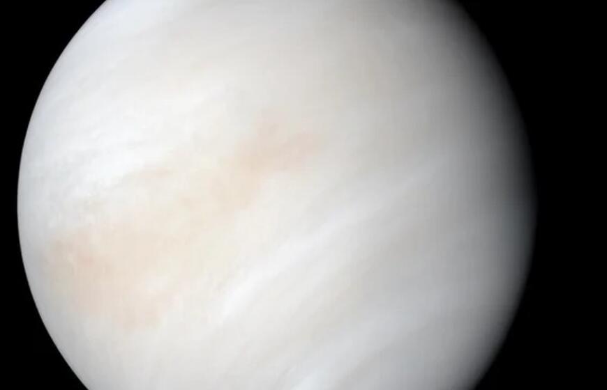 Venera