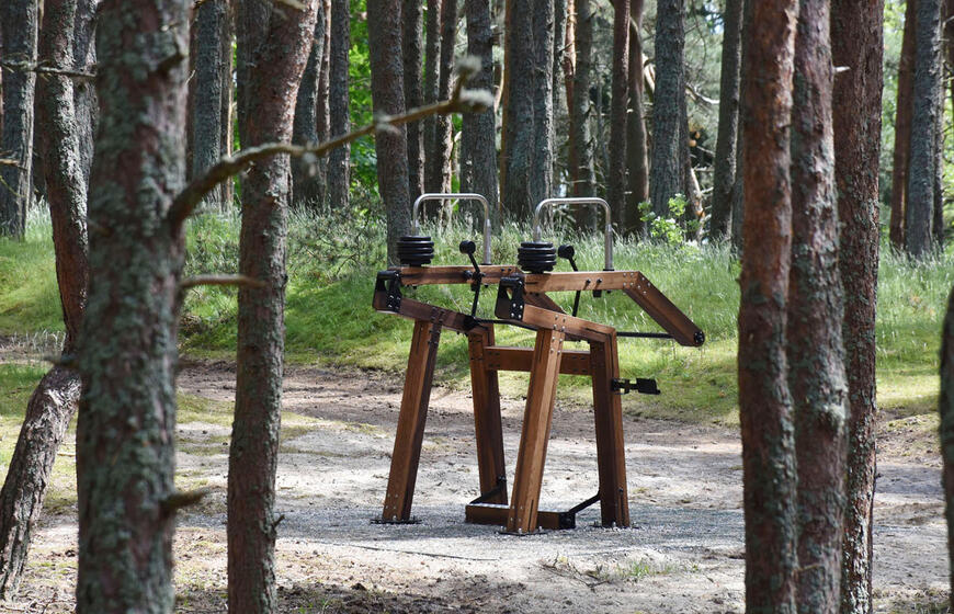 medžio karkaso treniruokliai