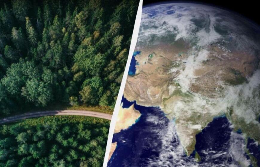 Žemės augmenija palaipsniui slenka į šiaurės rytus