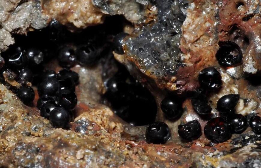 Radiniai juros gelmėse