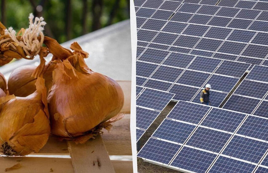 Svogūnų lukštai gali apsaugoti saulės paneles