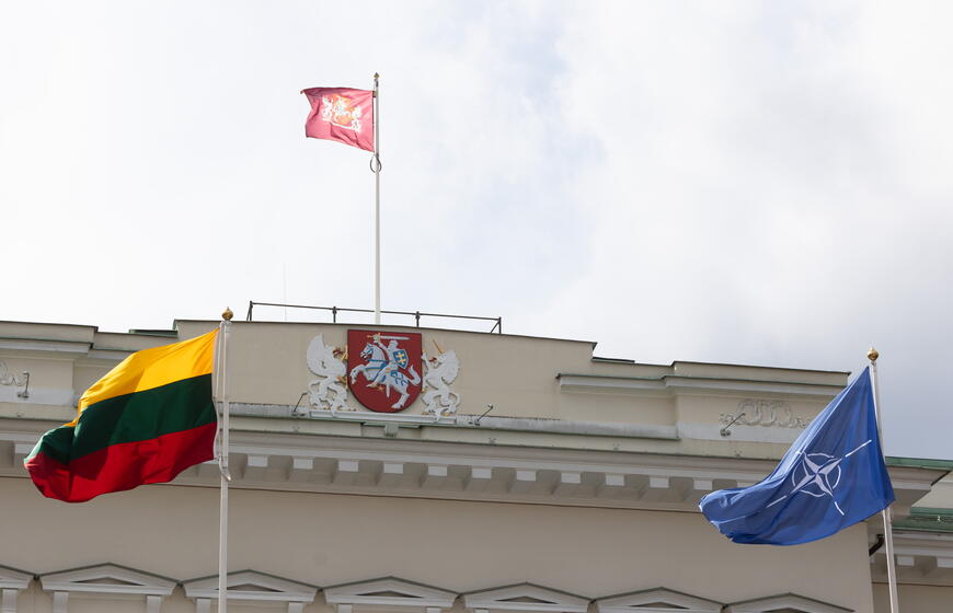 Lietuvos narystės NATO 20-mečio minėjimo ceremonija.