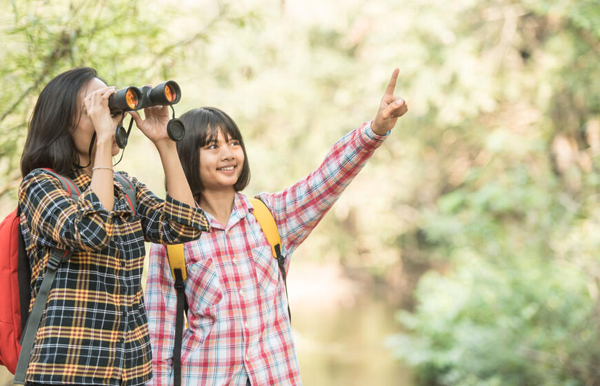 Paukščių stebėjimas gali sulėtinti smegenų senėjimą