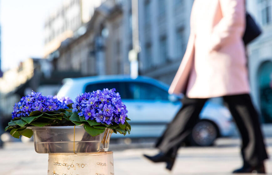 Naują savaitę laukia permainingi orai: lietus, rūkas ir saulė