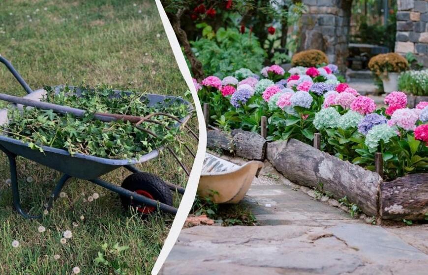 Kasmet kovojau su piktžolėmis, kol nepasodinau šių gėlių – dabar jos visai nebeauga