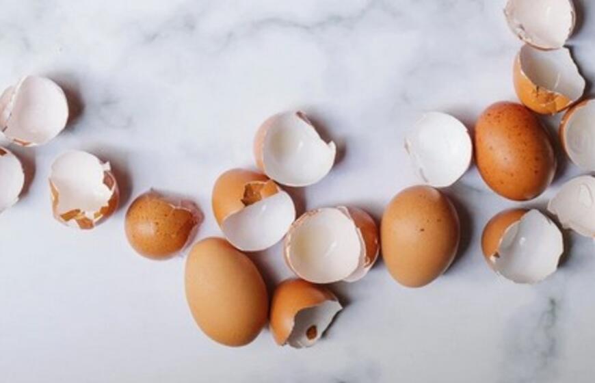 kiaušinių lukštai