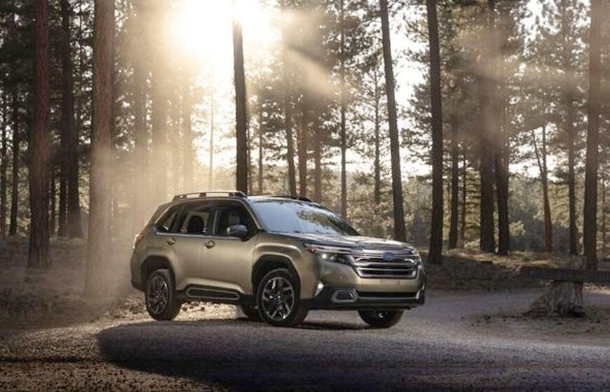 5 geriausi 2026 metų krosoveriai