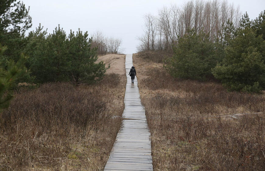 Pajūris, kopos, takai