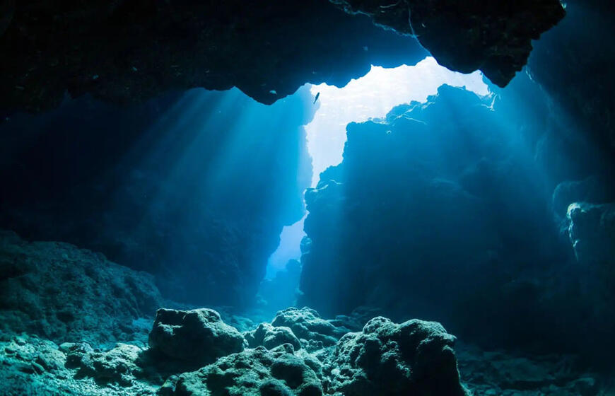 Povandeniniame urve narai rado didžiausią beždžionių fosilijų kolekciją