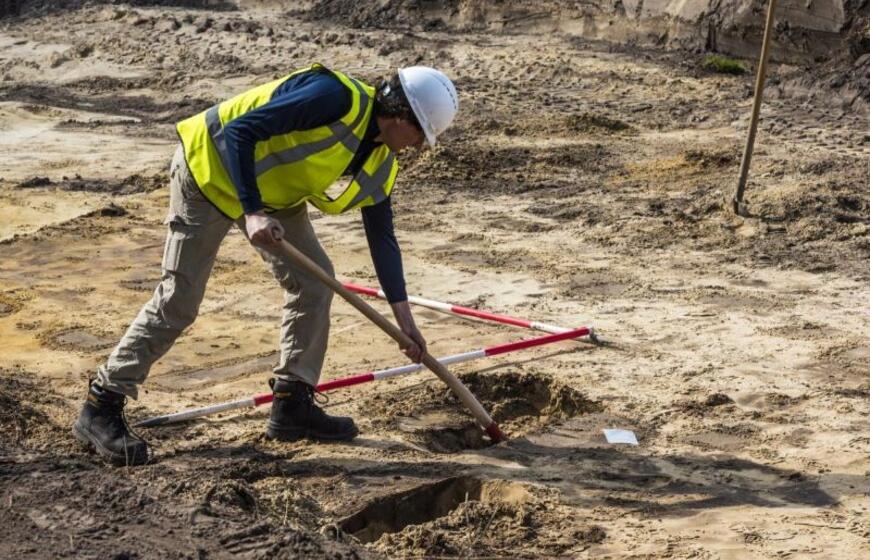 Atsitiktinai aptiko 28 metrų ilgio milžino palaikus